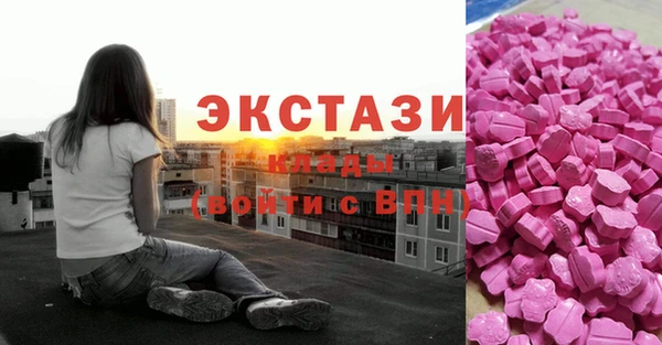 spice Богородицк